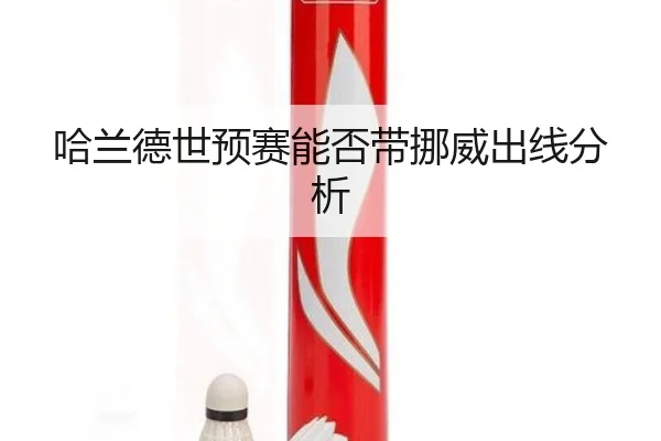 哈兰德世预赛能否带挪威出线分析