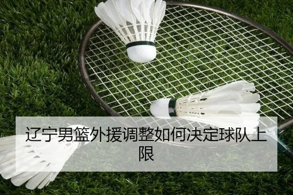 辽宁男篮外援调整如何决定球队上限
